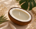 Coconut shell candle